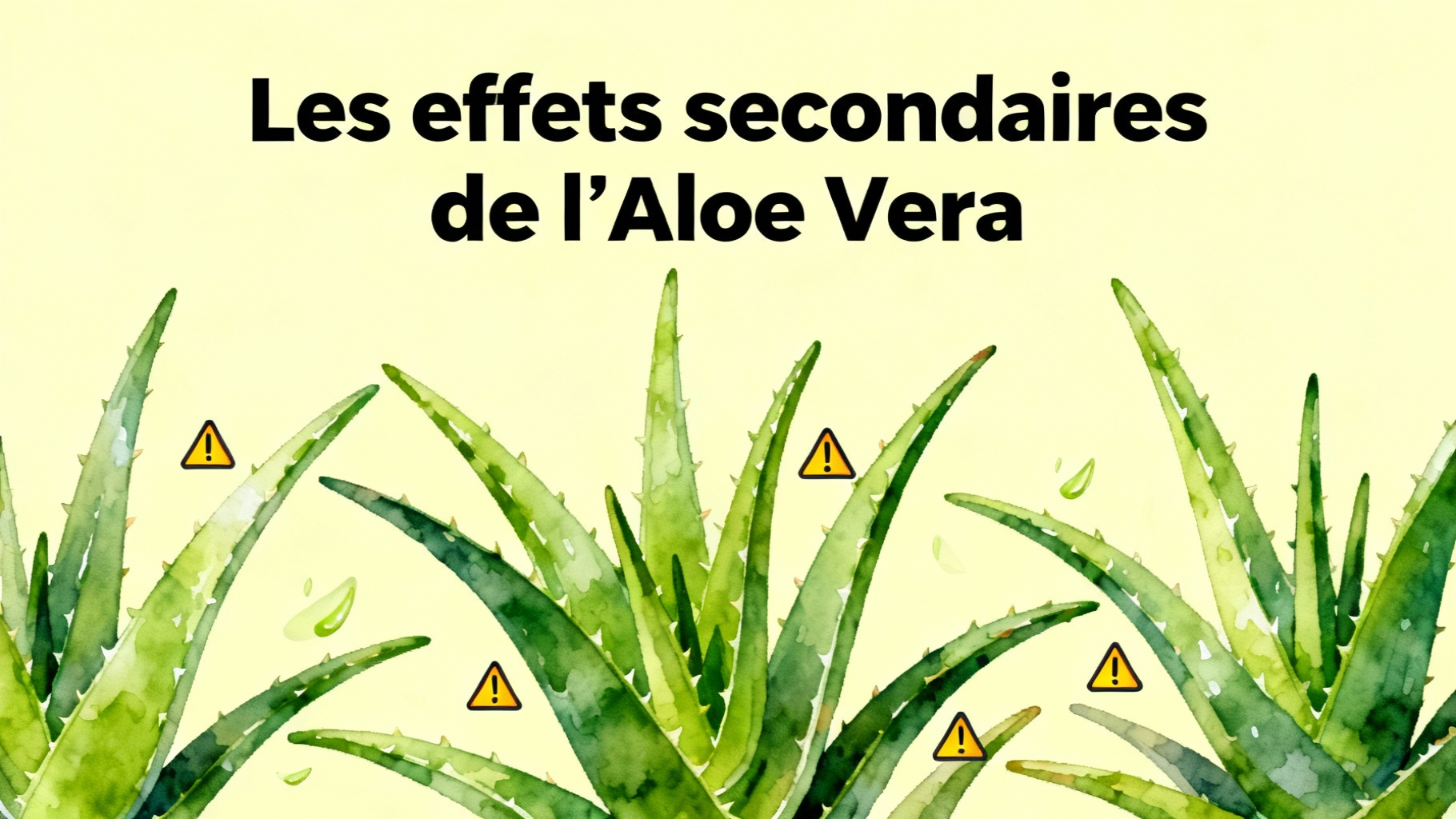 Aloe Vera: Welche Risiken bestehen für Ihre Gesundheit? 1 Die Nebenwirkungen von Aloe vera